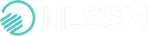 NLSSM